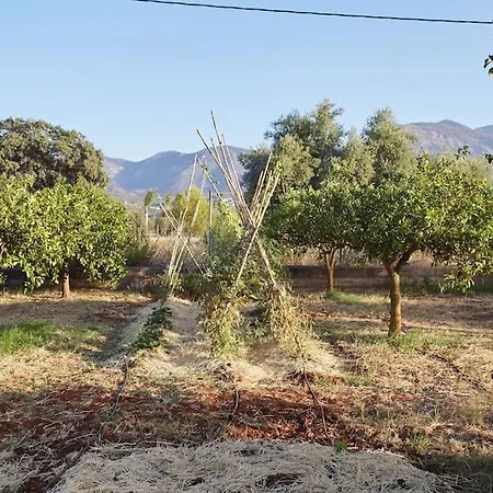 Holiday home La Madreselva Alhaurin el Grande