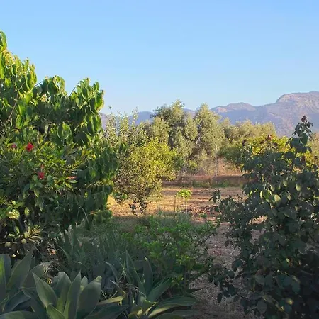 Holiday home La Madreselva